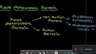 prokaryotic photosynthesis oxygenic and anoxygenic photosynthesis purple and green sulfur bacteria [upl. by Leahcim]