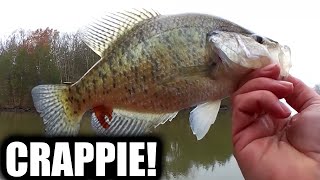 Winter Crappie and Bluegill Fishing From Shore  Winter Bank Fishing [upl. by Nyrmac]