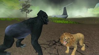 Gorilla vs lion fight [upl. by Annerb]