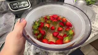 OXO Good Grips Large Salad Spinner Review [upl. by Kape312]