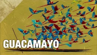 Danit Treubig  Guacamayo  Lyrics  Letra  Paroles [upl. by Yeleen486]