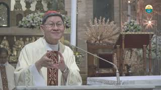 Cathedral Homilies  January 21 Cardinal Tagle [upl. by Klemperer933]