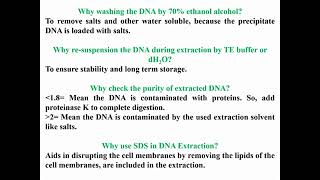 Questions Concerning DNA Extraction [upl. by Bianca]