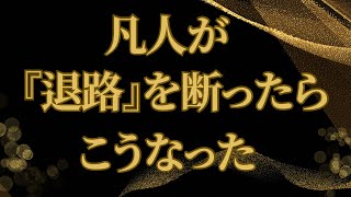 退路を断つことは、自分を追い込むことではなかった‼️やってみてわかった、あんなことこんなことを全部お話しします❗️ [upl. by Bonnes]