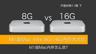 M1版Mac内存8G 16G到底怎么选？ ｜ 16G版M1 Mac mini开箱对比测试及内存选购建议！【开箱好物第11期下】 [upl. by Gaeta61]