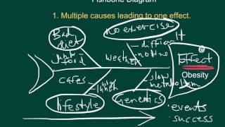 Cause and Effect Fishbone Diagrams [upl. by Amieva]