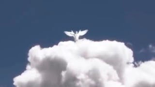 15 Angel Sightings That Will Convince You They Are Real [upl. by Etteuqaj]