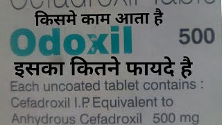 ODOXIL 500 MG TABLETSOdoxil tablets cefadroxil tablets use in hindi cefadroxil tablet side effect [upl. by Ahcurb]