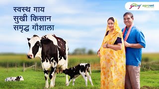 Godrej Agrovet  Prepwell │Pre  Calving Feed Suppliment  Hindi  2024 [upl. by Roti345]