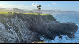 Fantastic Golf Holes Narooma GC 3rd Hole Par 3 [upl. by Wertheimer]