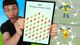 I Hatch 100 Eggs to find the RAREST Pokémon [upl. by Oivatco]