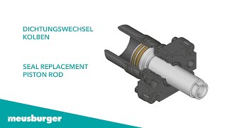 Dichtungswechsel Kolben  Seal replacement piston rod [upl. by Domash]