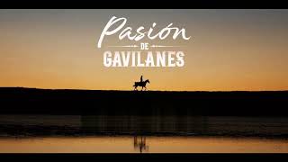 Pasion de Gavilanes 2  BSO quotCanción Oficialquot [upl. by Ahcire984]