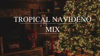 14 CAÑONAZOS BAILABLES DE NAVIDAD MIX VOL 1 [upl. by Tine]