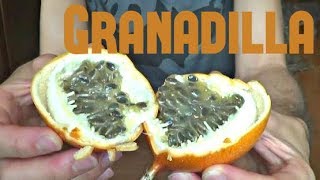 Granadilla Review  Weird Fruit Explorer Ep 34 [upl. by Mansoor860]