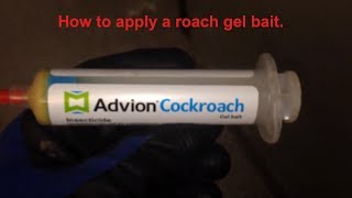 How to apply a roach gel bait [upl. by Busby]