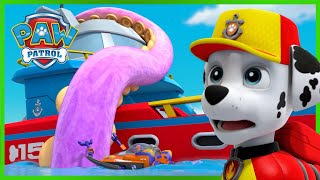 Sea Patroller Rescues  PAW Patrol  Cartoons for Kids Compilation [upl. by Nonad]