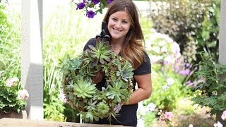 How to Make a Succulent Wreath [upl. by Sauncho]