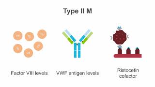 Interpreting tests for von Willebrand disease VWD [upl. by Lorsung]