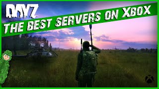 ONE Of The BEST DayZ PvE Servers 🔥 [upl. by Kcuhc]