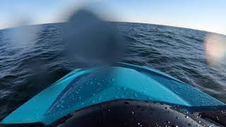 SeaDoo Wake Pro 230  In open seas [upl. by Annawik260]