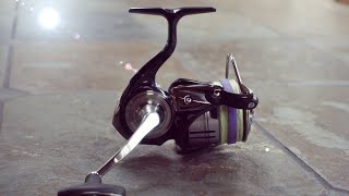 Daiwa Certate LT  Best quotVALUEquot Spinning Reel Twin Power vs Certate Fluke Fishing [upl. by Esiuolyram]