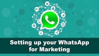 WhatsApp Marketing Basics  Heres how to set up your WhatsApp for marketing [upl. by Letnohc43]