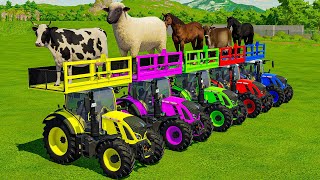 TRANSPORTING COWS SHEEPS HORSES BULLS GOATS amp TRACTORS WITH MAN TRUCKS  Farming Simulator 22 [upl. by Casta626]