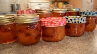 How to Make Nectarine Freezer Jam Made in Niagara with Kimberly [upl. by Quiteris]