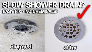 DONT LIVE with SLOW DRAINS  Make Your Shower Drain like New In 2 Minutes [upl. by Lesna]