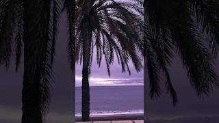 Real Life In Malaga Spain  Beach 🏖️ Costa del sol Andalucía [upl. by Ensoll]