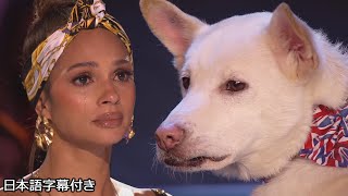 【和訳】会場中が涙、アマンダと犬のミラクル  BGT 2020 [upl. by Jerusalem]