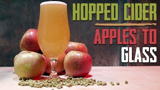 Apples to Glass  How to Make Hopped Hard Cider  Mosaic Hops [upl. by Dadirac]