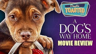 A DOGS WAY HOME MOVIE REVIEW  Double Toasted Reviews [upl. by Budworth]