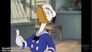 The History of Donald Duck [upl. by Lashondra]