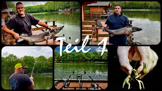 Ein Angelurlaub im „Angelpark zur Grafenmühle“ TEIL 1  Trout Hunters WeserEms [upl. by Jd]