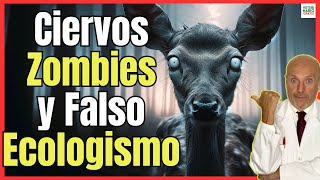 🔴 CIERVOS ZOMBIES LA ENFERMEDAD QUE CAUSA EL FALSO ECOLOGISMO 🔴 [upl. by Wolpert632]