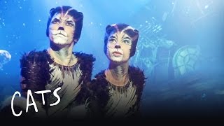 The Cats at the Jellicle Ball  Cats the Musical [upl. by Arbma]