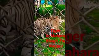 Maharaj Bagh Zoo NagpurPradipofficial94 [upl. by Ara]