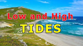 Tides High and Low Tides [upl. by Adnov]