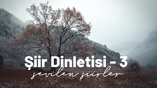 Şiir Dinletisi  Sevilen Şiirler  1 saatlik şiir dinletisi [upl. by Laszlo536]