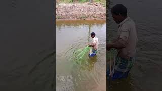 மனிதனை மிரள வச்ச மீன்கள்🤔😱Fishes that threaten humansshorts fishing [upl. by Eniladam206]