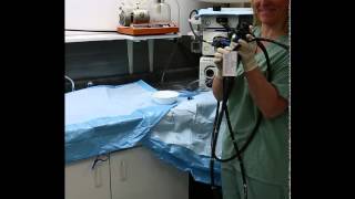 Flexible Endoscope Reprocessing  Precleaning [upl. by Nauq132]