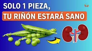 4 Alimentos Necesarios Para Personas Con Enfermedad Renal Crónica  Vida Saludable [upl. by Lenoj]