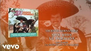 Vicente Fernández  Que Dios Te Perdone Cover Audio [upl. by Oicnerolf888]