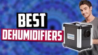 Best Dehumidifiers in 2020 Top 5 Picks [upl. by Asilec]