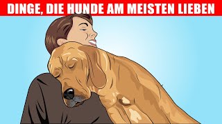 15 Dinge die Hunde am meisten lieben [upl. by Neryt642]