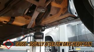 Water Sloshing Sounds in BMW Door Panels Quick Fix  60SecondFix BMW FixRepair HD [upl. by Gaye]