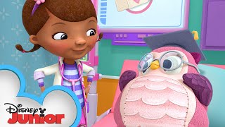 Docs Medical School 🏥  Doc McStuffins  Disney Junior [upl. by Pelletier]