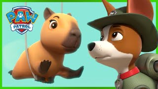 Jungle Rescue Pups Save a Capybara  PAW Patrol Episode  Cartoons for Kids [upl. by Virgel]